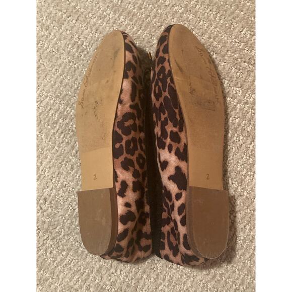 Sam Edleman Leopard Animal Print Ballet Flats Photoshoots! ~ Size 2 Big Kid - Picture 4 of 5